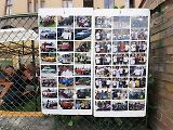Do Hříškova dorazil na jubilejní veteránský sraz rekordní počet vozidel. Přijela i herečka Obermaierová