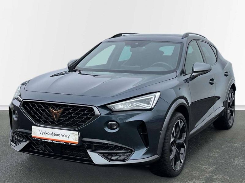 Cupra Formentor (2024) VZ 2.0 TSI DSG - fotka 18 z 20