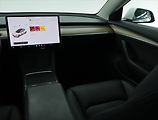 Tesla Model 3 (2021) Std Range Plus LFP, SoH 92% - náhled 8