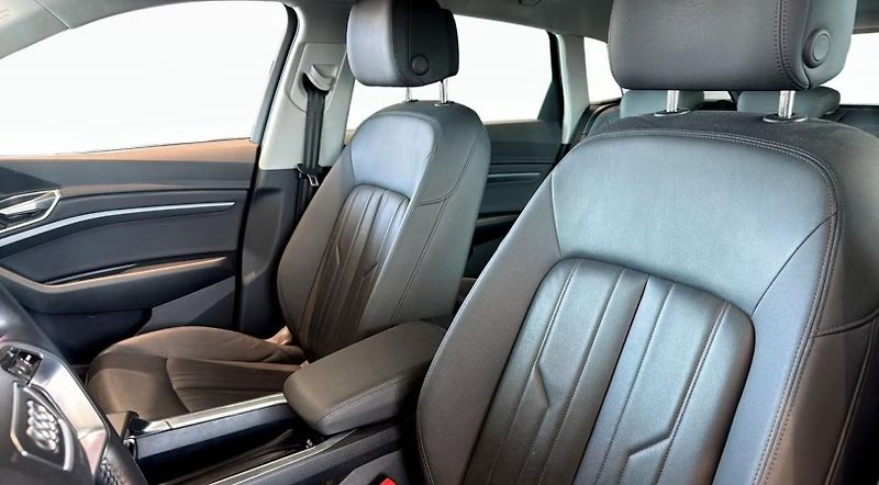 Audi e-tron 55 Quattro Kam Panorama HuD - fotka 8 z 17