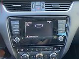 Škoda Octavia (2014) 1.6 TDi, Elegance, bixen - náhled 18