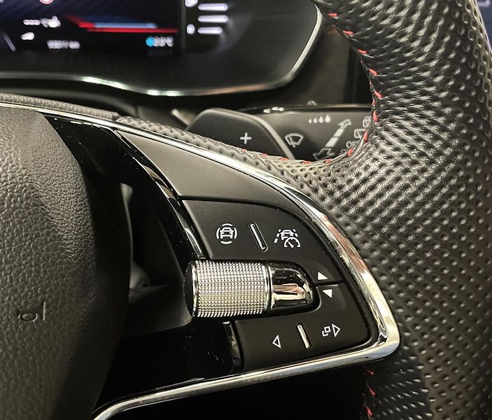 Škoda Octavia RS, 147 kW, DSG,HEAD-UP,CANTON - fotka 18 z 39