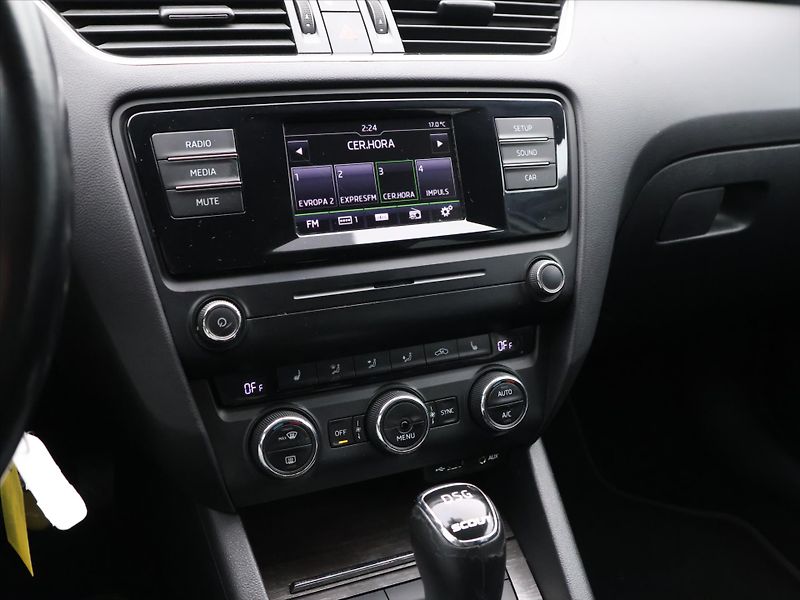 Škoda Octavia 2,0 TDI 135kW 4x4 DSG CZ Scout - fotka 17 z 28