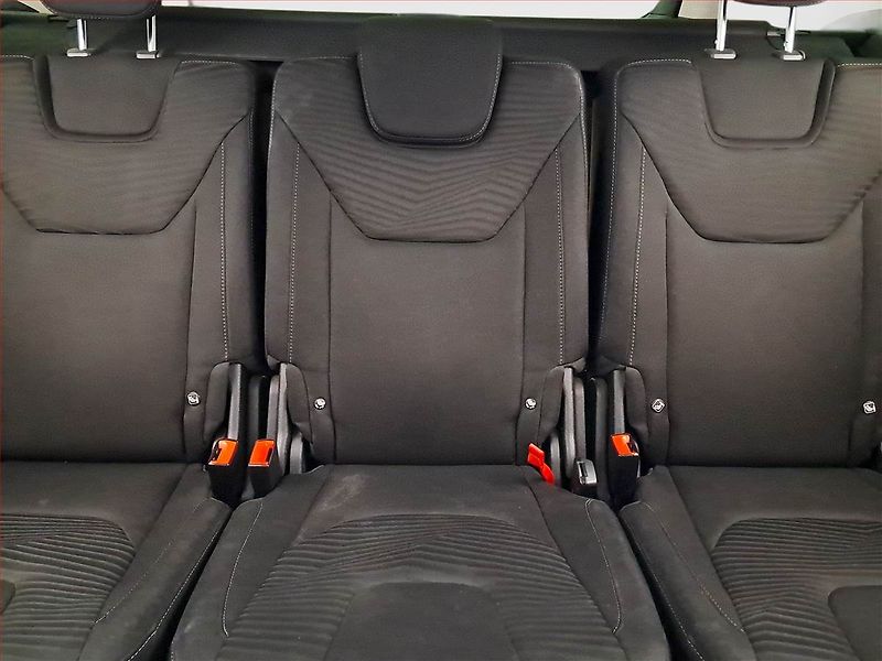 Ford S-MAX (2017) 2.0 TDCi, Navi, Tempomat - fotka 10 z 19
