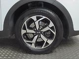 Kia Sportage (2021) 1.6 CRDi MHEV, Automat, Navi - náhled 15