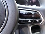 Mazda CX-60 3,3D 254PS,AT,4x4,Hom,Poh/So - náhled 13