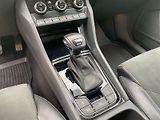Škoda Kodiaq (2019) 2.0 TDI 4x4 DSG Style + - náhled 29