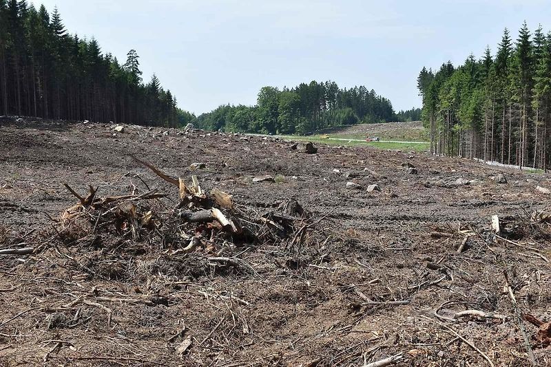 Na trase D11 Jaroměř - Trutnov skončilo kácení dřevin.