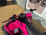 Linhai (2026) ATV 110 - náhled 3