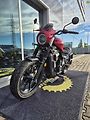Moto Morini Calibro (2026) Custom 700 - náhled 10