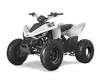 Linhai (2026) ATV 110 - náhled 1