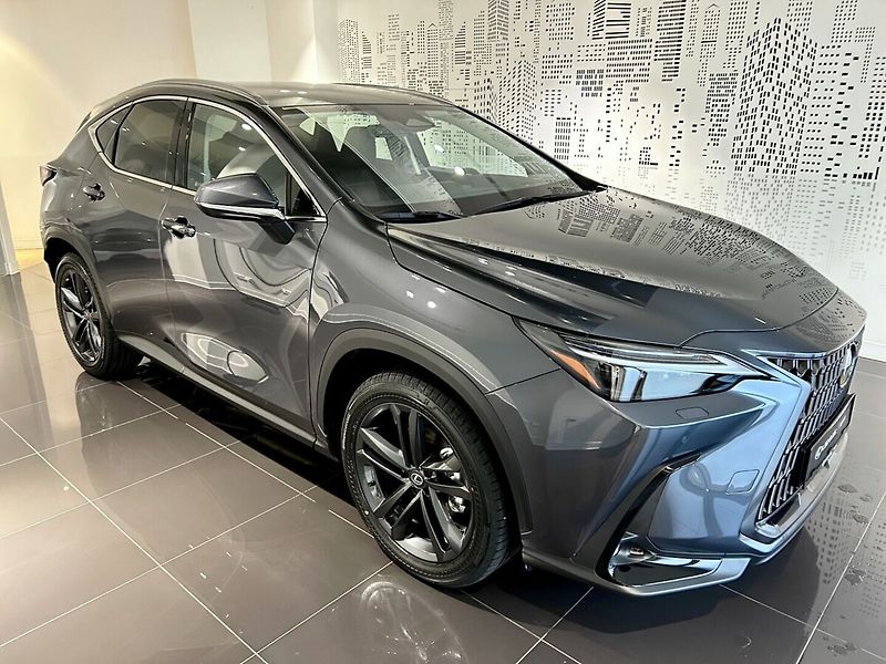 Lexus NX 350h 350h 2.5 HEV EXECUTIVE TOP - fotka 5 z 10