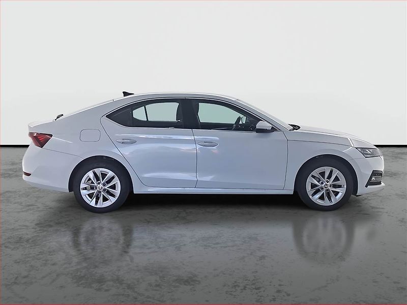 Škoda Octavia (2023) 2.0 TDI - fotka 6 z 22