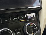 Škoda Octavia 1,4 DSG LED CANTON KŮŽE NAVI - náhled 23