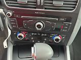 Audi Q5 (2013) 2,0 TFSI 165 KW Quattro Aut. - náhled 31