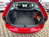 Škoda Octavia (2016) 1,6 81 KW ROZVODY 2. MAJITEL - náhled 45