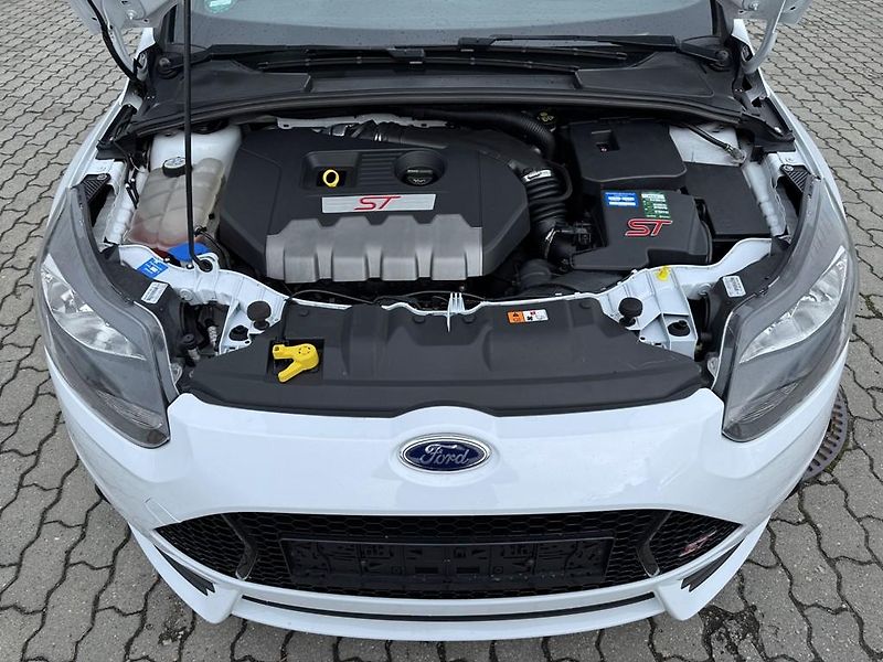 Ford Focus ST 2.0 EB 184 kW nehavar. - fotka 11 z 12