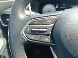 Hyundai Santa Fe 2,2 CRDi, DCT, 4x4 Premium - náhled 19
