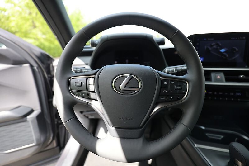 Lexus UX 300h 300H 2.0 HEV BUSINESS TECH - fotka 11 z 22