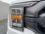 Ford F-150 5,0 V8 298kW - náhled 8