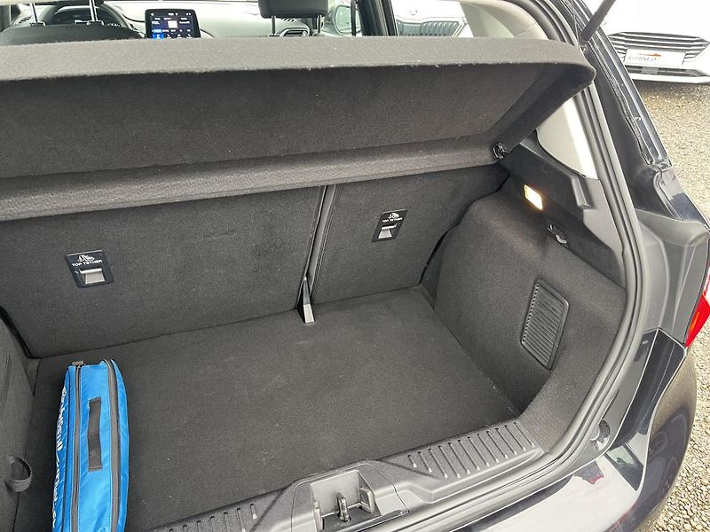 Ford Fiesta 1.5 TDCi Trend r. 2020-DPH-ČR! - fotka 19 z 34