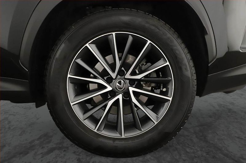 Lexus NX 200t (2023) 450h+ - fotka 13 z 21