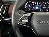 Škoda Kodiaq (2025) 2.0TDI 142kW 4X4 Exclusive Sel - náhled 9
