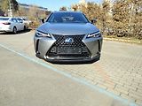 Lexus UX 250h BUSINESS edition,alcantara - náhled 1
