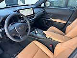 Lexus UX 300h 300h 2.0 HEV F SPORT DESIGN - náhled 7