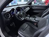 Alfa Romeo Stelvio (2023) 2.2 JTDm 210k AT8 ZF Q4 4x4 TI - náhled 6