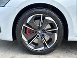 Škoda Octavia RS 2.0TSi DSG 265PS Matrix-LED - náhled 10