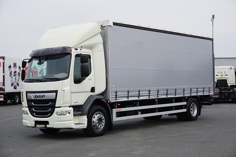 DAF LF (2019) 290 / E 6 / FIRANKA + WINDA /  - fotka 2 z 44