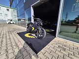 Can-Am (2025) Pulse - náhled 1