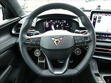 Cupra Terramar 2,0 VZ 2.0 TSi 195kW DSG 4WD - náhled 33
