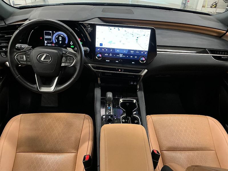 Lexus RX 350h 2.5 HEV 4x4 E-Four e-CVT Execu - fotka 6 z 7