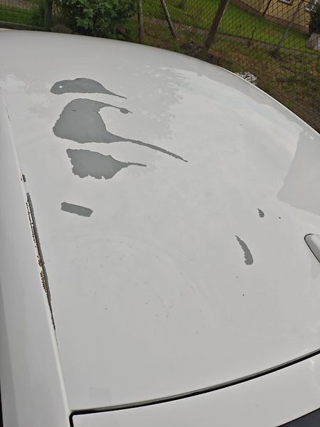 Audi A5 (2010) - fotka 13 z 13