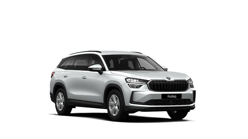 Škoda Kodiaq (2026) Selection 7DSG 4x4 2,0TDI - fotka 1 z 3