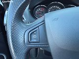 Renault Mégane 2.0 dCi 118kW - náhled 33
