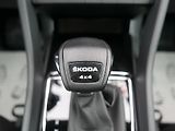 Škoda Karoq 2,0 TDI Tour 4x4 Automat - náhled 31