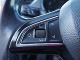 Škoda Octavia (2014) 2.0 TDi, Elegance, navi - náhled 17