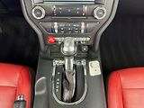 Ford Mustang 5.0 V8 GT CABRIO, ROUSH VÝFUKY - náhled 24
