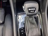 Škoda Kodiaq (2023) 2.0 TDi 4X4, 1.maj,ČR, L&K - náhled 14
