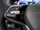 Škoda Karoq (2026) SPORTLINE 2.0TDI 110KW 4x4 DSG - náhled 19