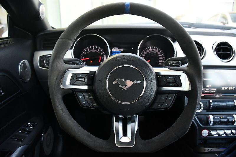 Ford Mustang 5.0V8 REMUS ČR ZADÁNO - fotka 24 z 40