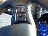 Ford Kuga 2,0EcoBlue 140kW AWD Vignale A - náhled 32