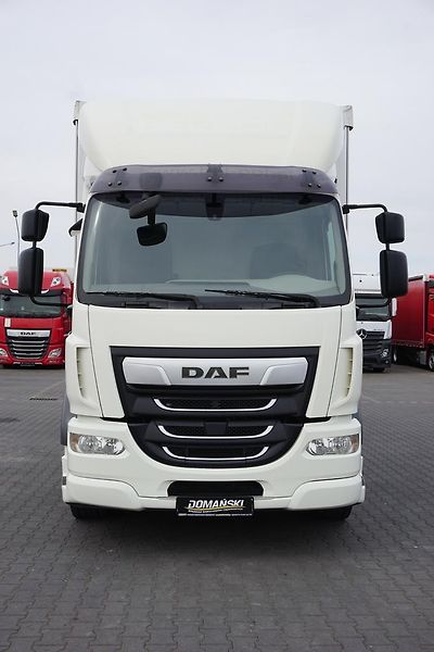 DAF LF (2019) 290 / E 6 / FIRANKA + WINDA /  - fotka 14 z 44