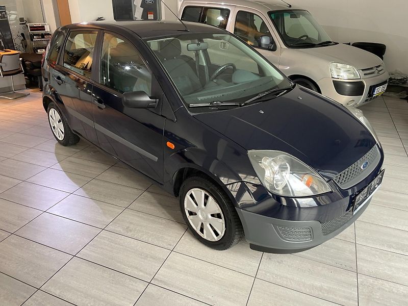 Ford Fiesta (2006) Trend 1.3 Duratec 44kW - fotka 8 z 22