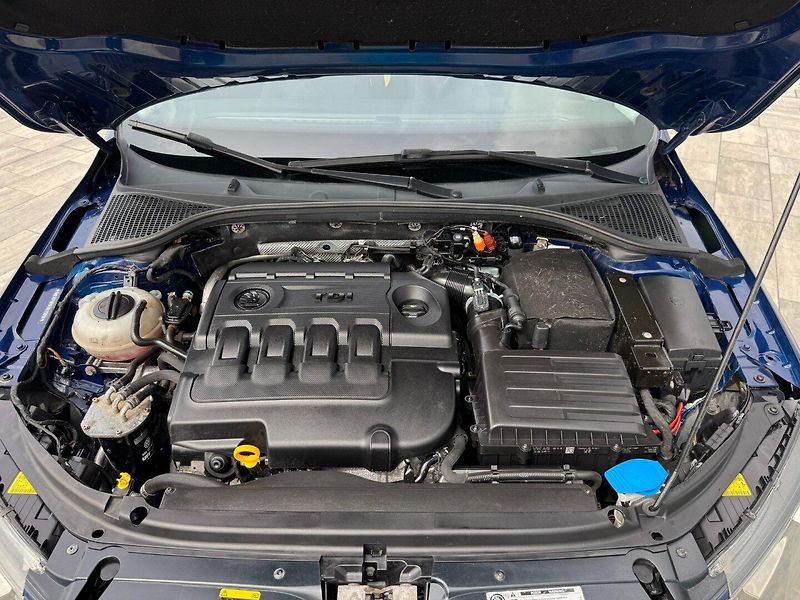 Škoda Octavia (2015) 1.6 TDI 77kW - fotka 28 z 29