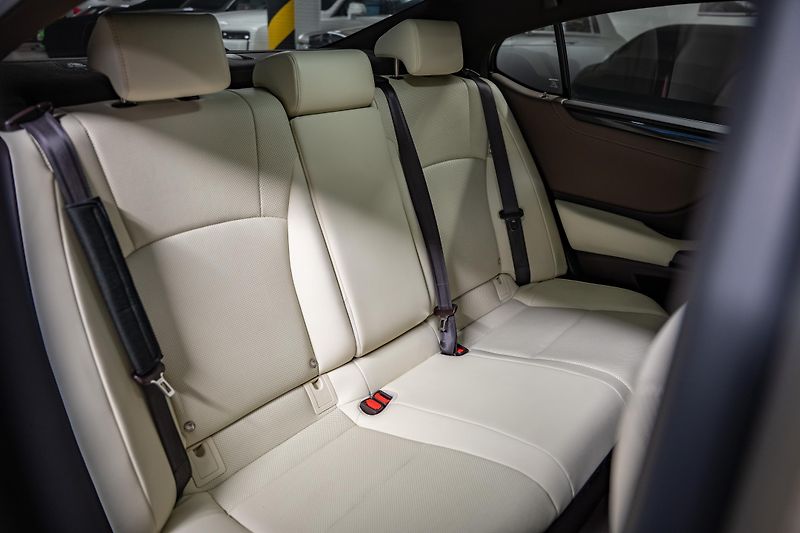 Lexus ES 300h (2020) Luxury, LED, 360, DPH - fotka 21 z 27