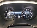 Ford Edge (2019) 2.0 EcoBlue BiTurbo, 4X4 - náhled 11